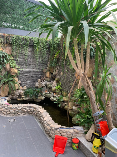 Tiện ích biệt thự Huyện Nhà Bè Biêt thự khu NineSouth diện tích 140m2, bàn giao nhà đầy đủ nội thất.