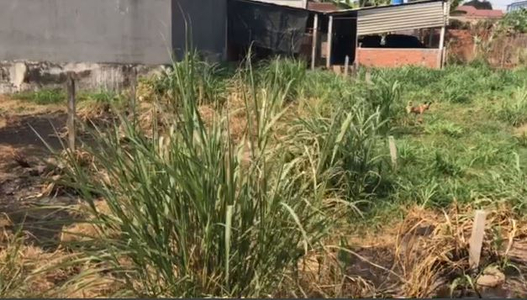 Đất nền Huyện Củ Chi Đất nền diện tích 109.4m2 hướng Tây Nam, có sổ hồng riêng.