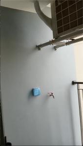 Lô gia Vinhomes Grand Park Quận 9 Căn hộ Vinhomes Grand Park tầng thấp, view nội khu.