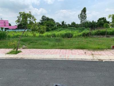 Đất nền Huyện Củ Chi Đất nền diện tích 81m2, nằm ngay UBND xã Tân Thông Hội, sổ hồng riêng.
