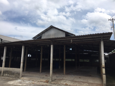 Nhà vườn Huyện Củ Chi Nhà vườn có xưởng diện tích 2554m2 vuông vức, pháp lý đầy đủ rõ ràng.