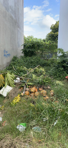 Đất nền Quận 12 Đất nền hẻm rộng 5m đường Thạnh Xuân 25, diện tích 50m2 vuông đẹp.