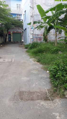 Đất nền Quận 9 Đất nền diện tích 63m2 có sổ hồng riêng, khu dân cư sầm uất.