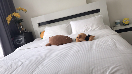 Căn hộ Vinhomes Central Park, Quận Bình Thạnh Căn hộ Vinhomes Central Park tầng 12A thiết kế kỹ lưỡng, có 1 phòng ngủ.