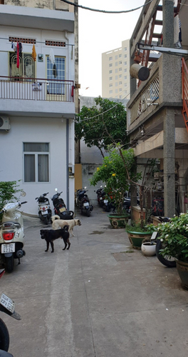 Đường trước nhà phố Quận Bình Thạnh Nhà phố thiết kế 1 trệt, 1 lầu đúc đường NGuyễn An Ninh, gần chợ Bà Chiểu.