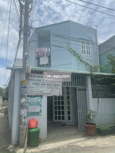 Rever