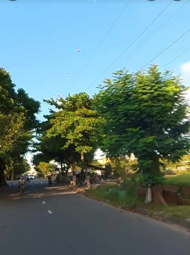 IMG_1563.PNG Đất nền Đường Dương Loan diện tích 125m² hướng nam pháp lý sổ hồng