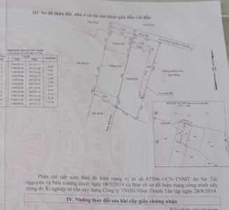 Nhà phố Quận Bình Tân Hai căn nhà cũ liền kề diện tích 177m2, khu dân cư sầm uất.