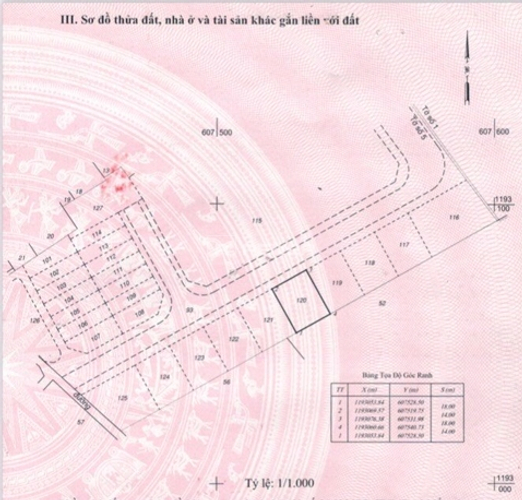  Đất nền Đường D4 diện tích 252m² hướng tây bắc pháp lý sổ hồng.