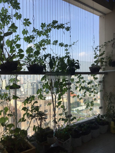 Căn hộ The Gold View, Quận 4 Căn hộ The Gold View tầng 23 diện tích 80m2, cửa hướng Đông Bắc.