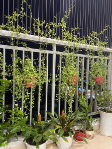 Căn hộ Moonlight Boulevard, Quận Bình Tân Căn hộ Moonlight Boulevard hướng ban công bắc đầy đủ nội thất diện tích 68m²