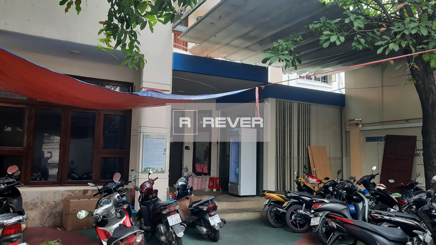 Rever