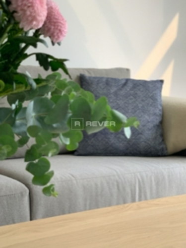 Rever