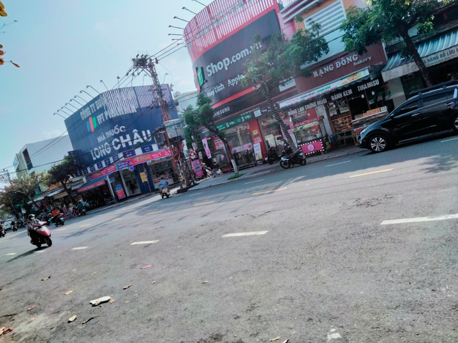 Rever
