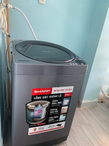 Căn hộ Chung cư Bông Sao, Quận 8 Căn hộ Chung cư Bông Sao tầng thấp đầy đủ nội thất, tiện ích đa dạng.