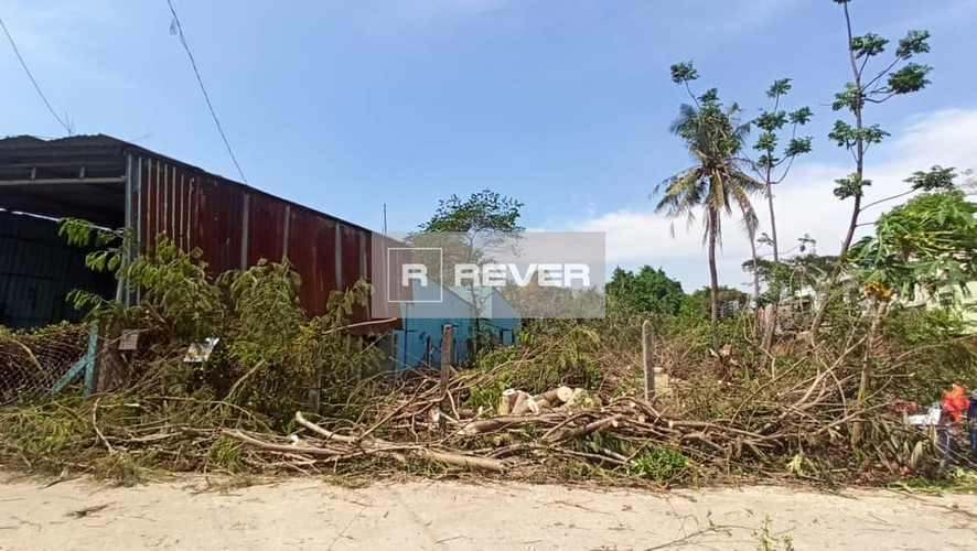 Rever