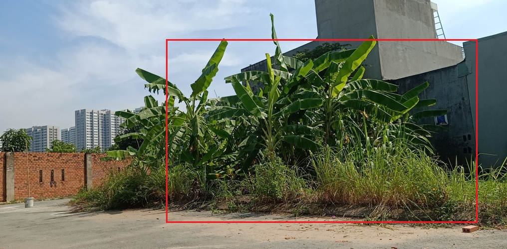 Đất nền Quận 9 Đất nền diện tích 81m2, có sổ hồng riêng bàn giao ngay.