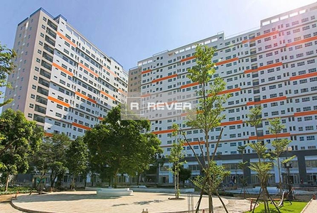  Căn hộ 9 View Apartment nội thất cơ bản diện tích 58m²