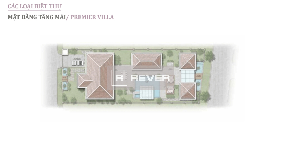 Rever