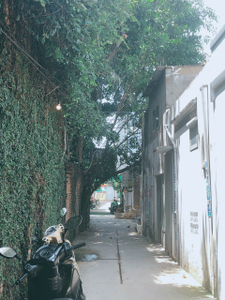 Nhà phố Quận 12 Nhà phố diện tích 64.6m2 cửa hướng Đông Bắc, đường rộng và thông thoáng.