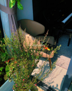  Căn hộ New City Thủ Thiêm hướng Đông Nam, diện tích 85.42m²