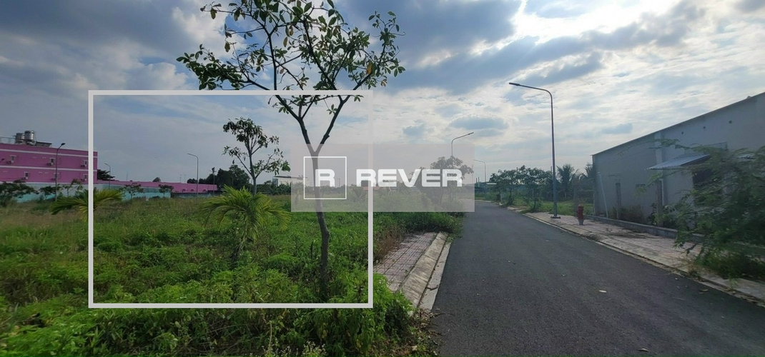 Rever