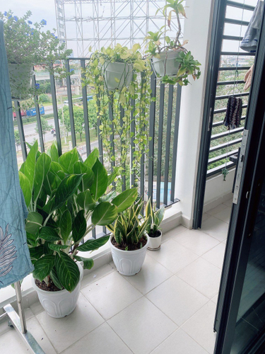 Căn hộ Thủ Thiêm Garden, Quận 9 Căn hộ Thủ Thiêm Garden tầng 10 có 1 phòng ngủ, đầy đủ nội thất.