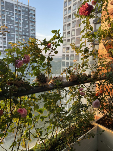  Căn hộ New City Thủ Thiêm hướng Đông Nam, diện tích 85.42m²