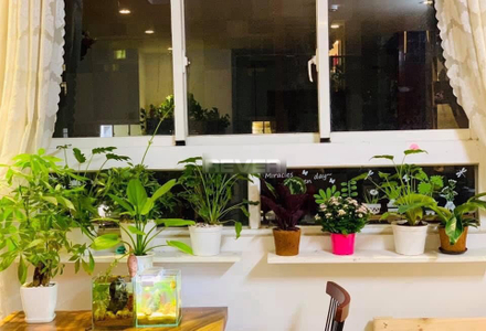 Căn hộ I-Home 1, Quận Gò Vấp Căn hộ I-Home 1 tầng 15 có 2 phòng ngủ, nội thất cơ bản.