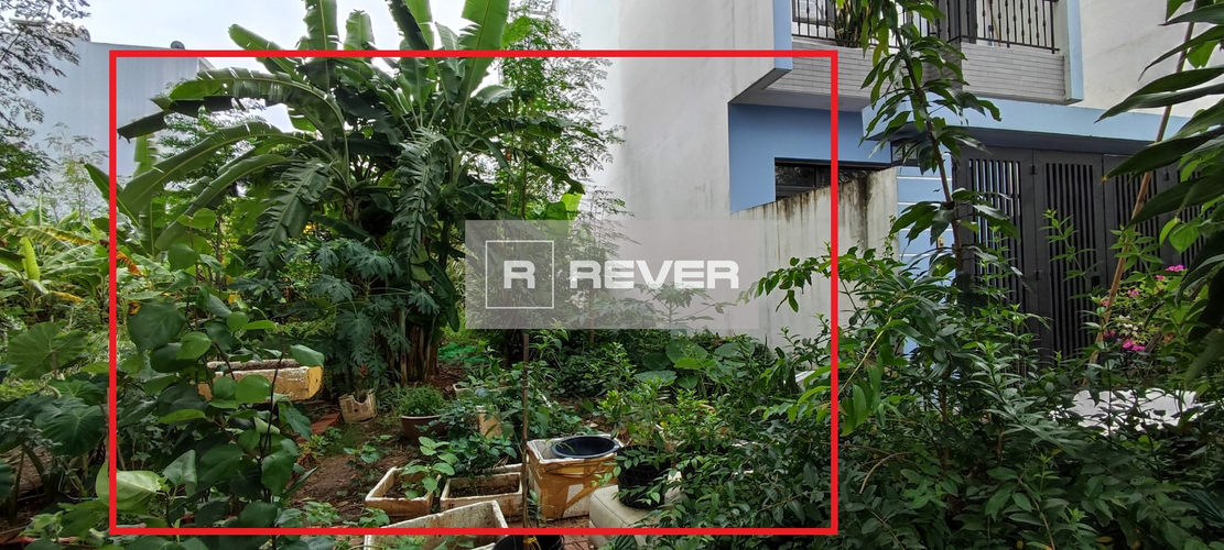 Rever