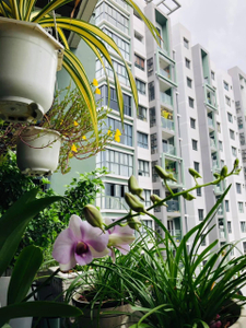 1679916952765.jpg Căn hộ Celadon City đầy đủ nội thất diện tích 70m²