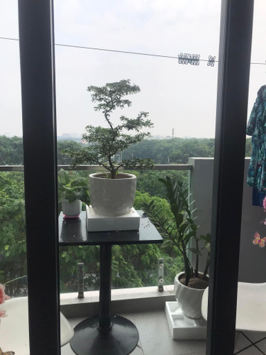 Căn hộ Celadon City Tân Phú Căn hộ Celadon City tầng thấp thiết kế hiện đại, nội thất bàn giao cơ bản