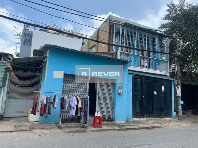 Rever
