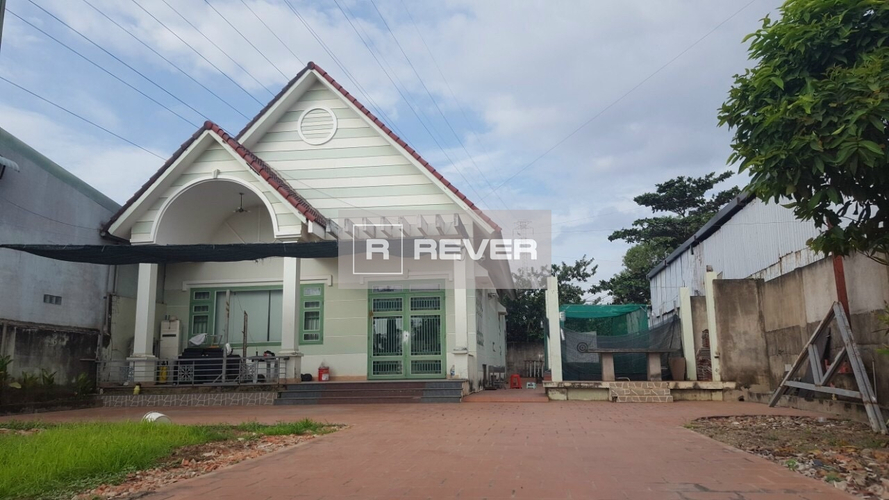Rever