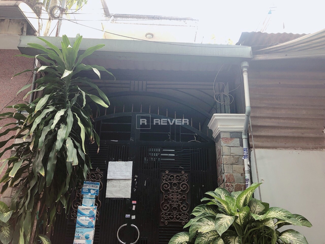 Rever