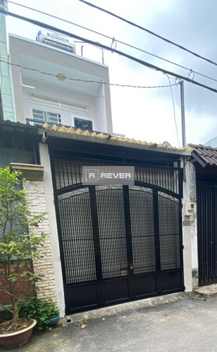 Rever