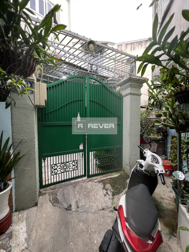 Rever