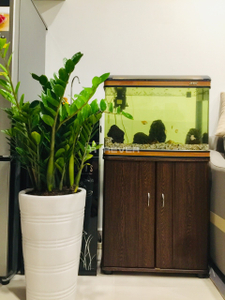 z4341828835110_b1062c072c10091ac53a0f04f0069f4e.jpg Căn hộ Vinhomes Grand Park hướng ban công đông bắc đầy đủ nội thất diện tích 47m²