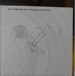 Đất nền Quận 9 Đất nền mặt tiền đường Số 14, diện tích 117.2m2 có sổ hồng riêng.