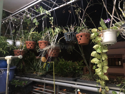 Căn hộ Tây Thạnh, Quận Tân Phú Căn hộ Chung cư Tây Thạnh tầng 4 view công viên mát mẻ.