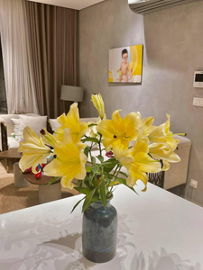  Căn hộ Diamond Island - Đảo Kim Cương đầy đủ nội thất diện tích 88m²