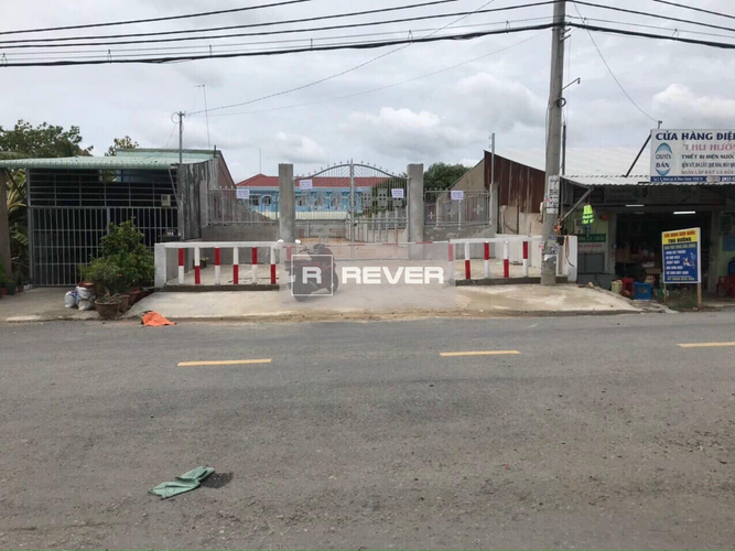 Rever
