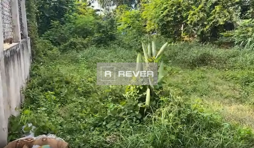 Rever