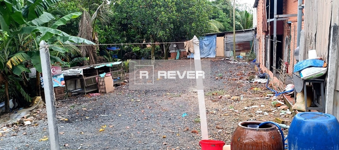 Rever