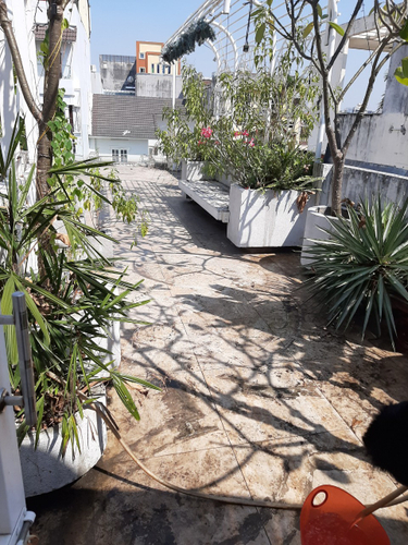 Nhà phố Quận Bình Thạnh Nhà phố thiết kế 1 trệt, 2 lầu cửa hướng Đông Bắc mát mẻ.