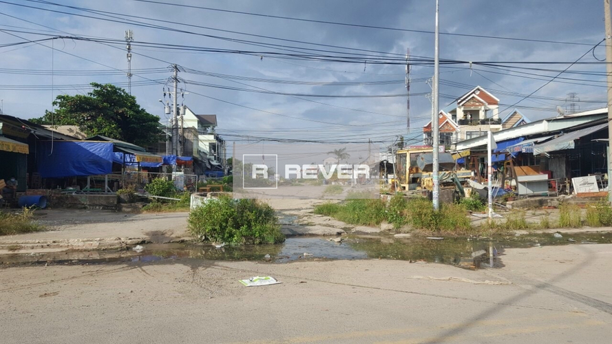 Rever