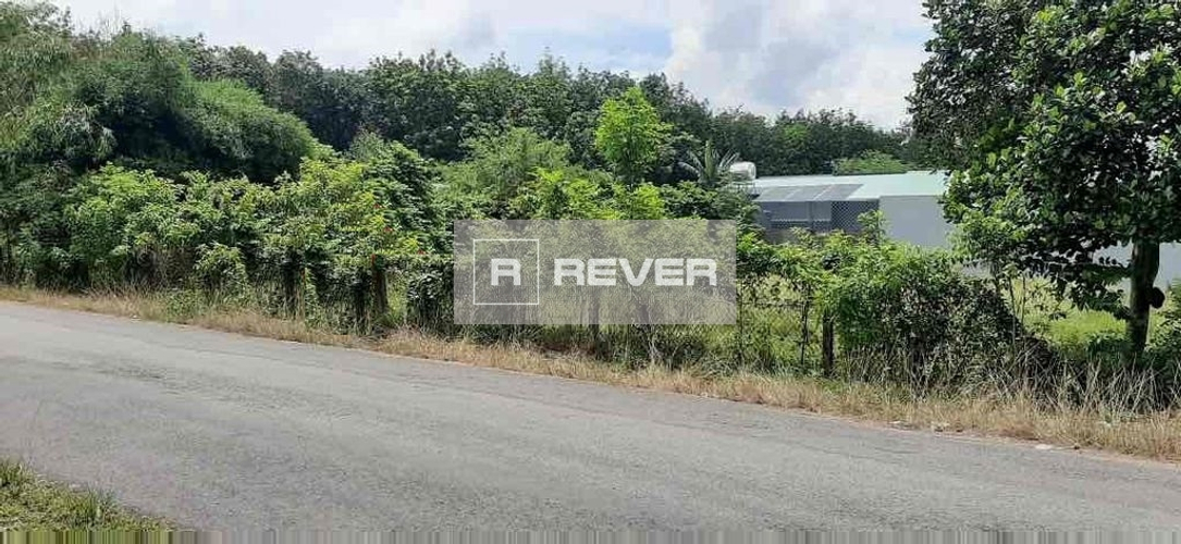 Rever