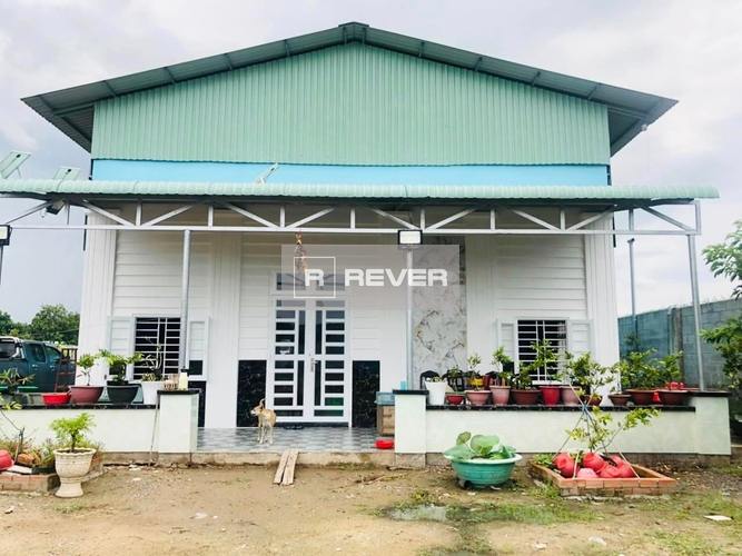 Rever