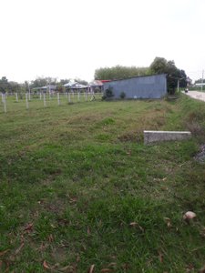 Đất nền Huyện Củ Chi Đất mặt tiền đường Nguyễn Thị Hẹ, diện tích 30mx 15m vuông đẹp.