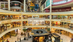 The Muse Đà Nẵng - can-ho-the-muse-da-nang-TTTM